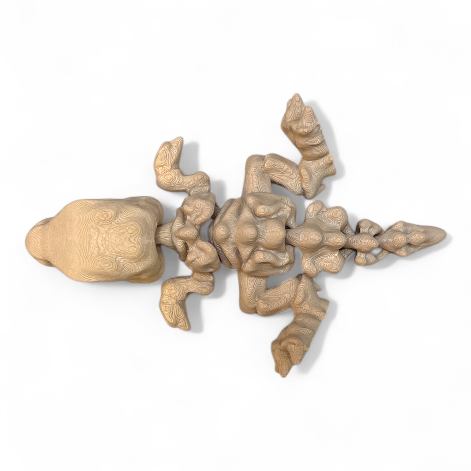 Tiny Skelett T-Rex 3D Figur (beweglich) - 3DPrintZoo