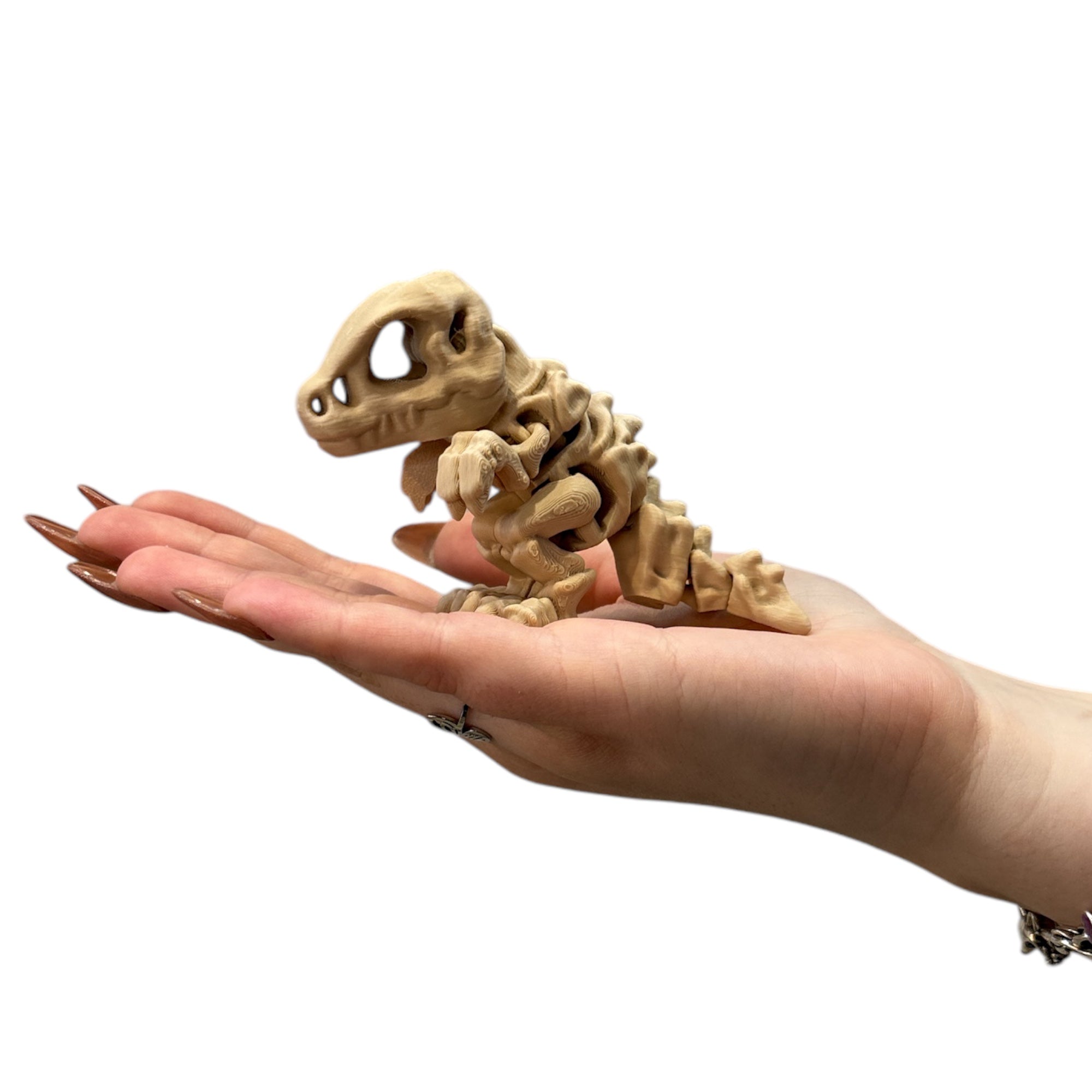 Tiny Skelett T-Rex 3D Figur (beweglich) - 3DPrintZoo