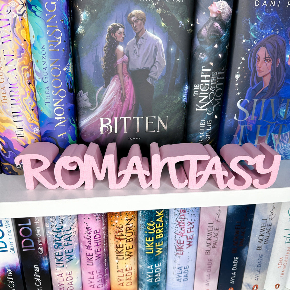 "Romantasy" Buch-Aufsteller | Bücherregal Dekoration